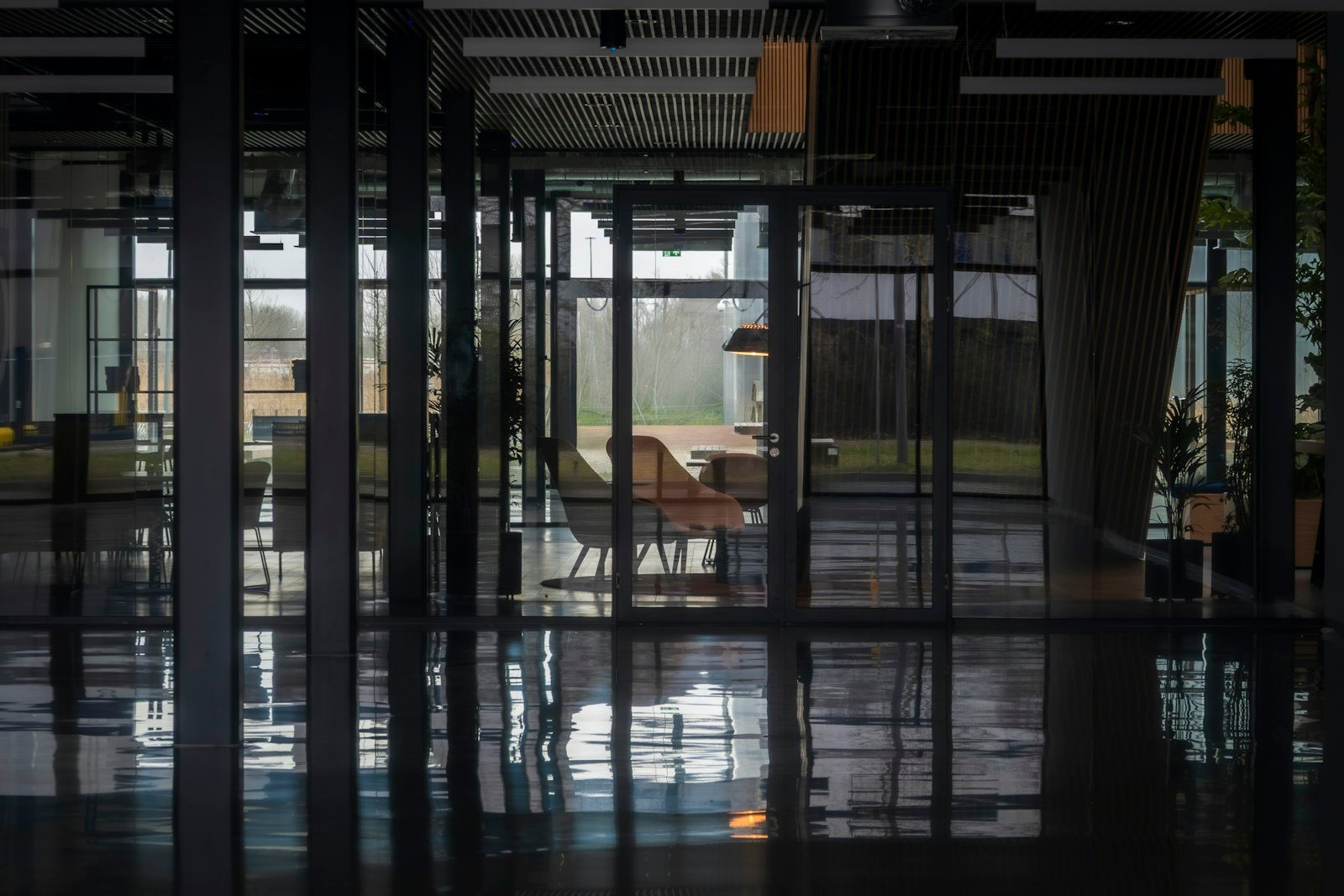 Light-filled contemporary business workspace